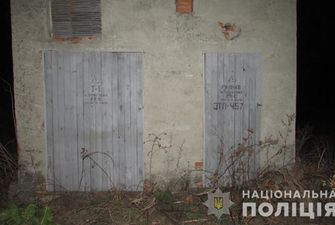 На Тернопольщине на территории детсада 12-летнего мальчика ударило током
