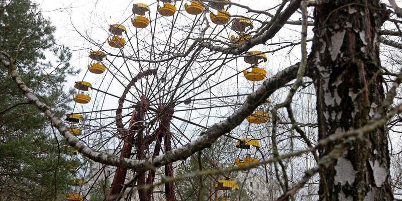 В Чернобыле заметили редкое животное кремового цвета