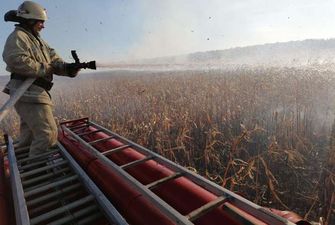 На Київщині згоріло кукурудзяне поле