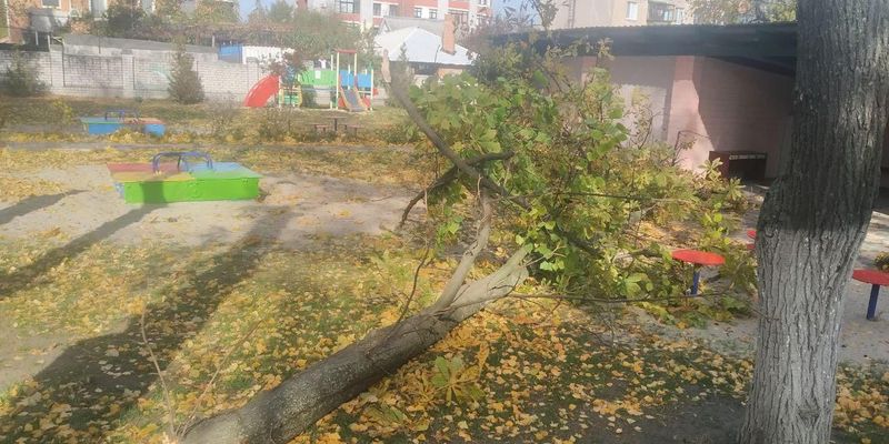 В Кременчуге умерла 4-летняя девочка, на которую в детском саду упало дерево