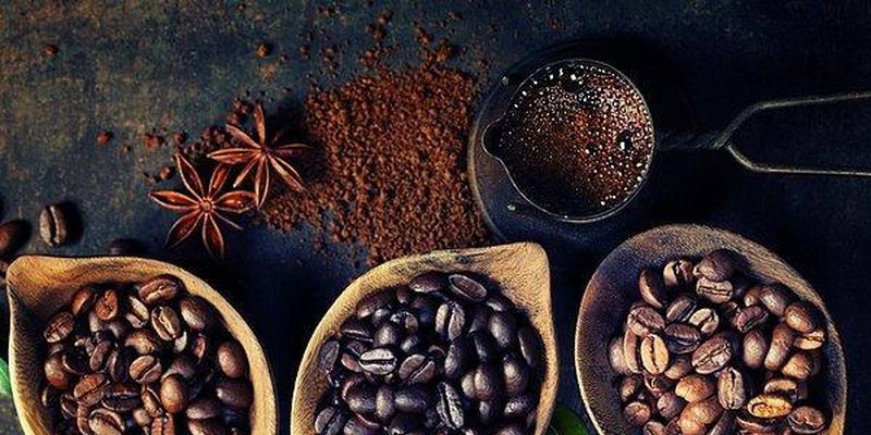 Чем отличаются сорта кофе: 13 стран, считающихся родиной кофе