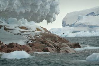 В Антарктиде ученые обнаружили новый остров