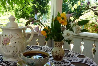 Туристов позвали выпить чая на веранде дома Коцюбинских