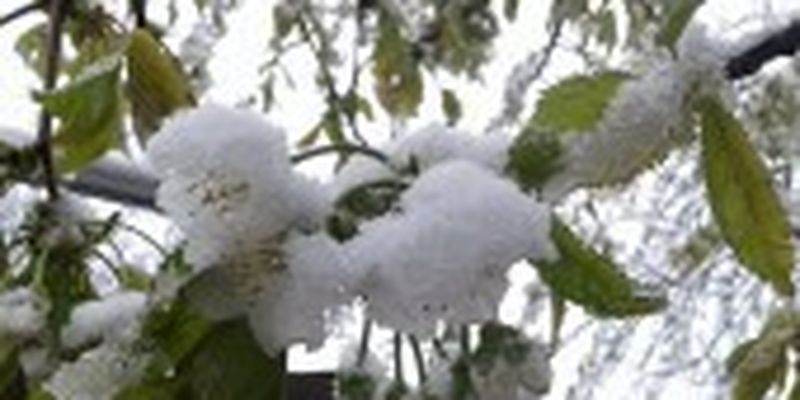 В Карпатах мокрий сніг, а деяких регіонах заморозки на ґрунті: прогноз погоди на 18 квітня