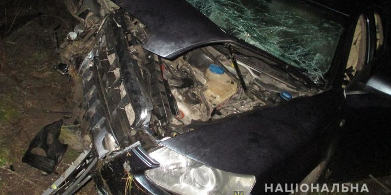 В Запорожской области дорогой Audi c молодой компанией вылетела в кювет: есть жертвы