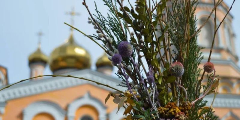З Вербною неділею, Україно: добірка найгарніших картинок-привітань