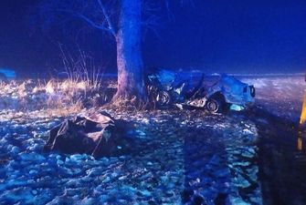 ДТП на Житомирщине: авто врезалось в дерево и загорелся, трое погибших
