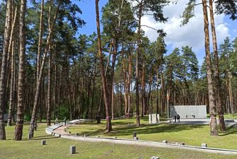8 гектаров леса в Быковне под военное кладбище? Эксперт объяснил незаконность действий власти