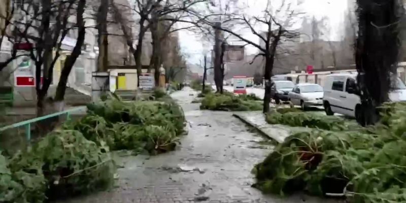 На улицах Одессы торговцы бросили более 5 тысяч хвойных деревьев