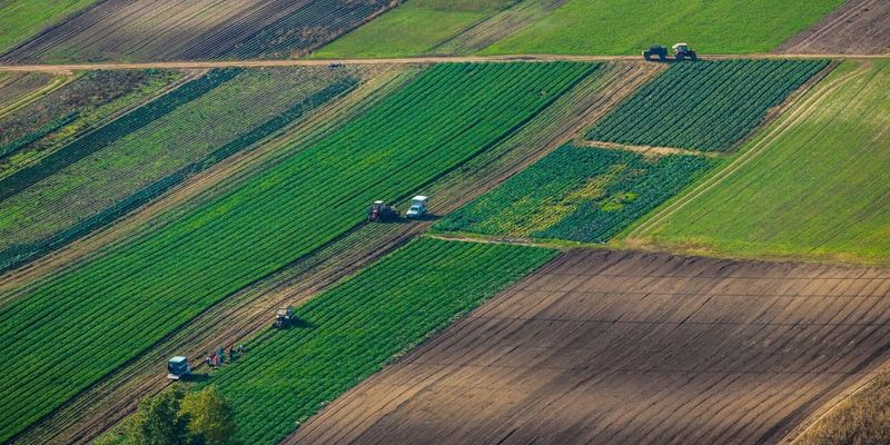 Продажа за бесценок украинской земли иностранцам ставит крест на отечественном фермерстве - эксперт