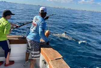 В США 12-летний парень поймал большую белую акулу во время рыбалки