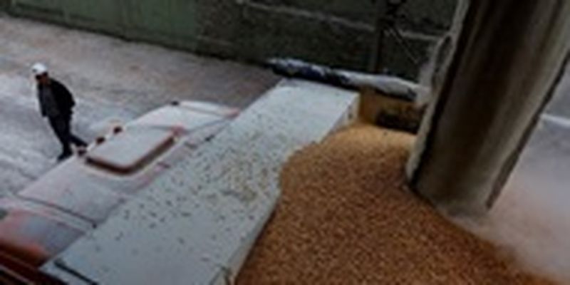 Экспорт зерна Украины может начаться завтра - ООН