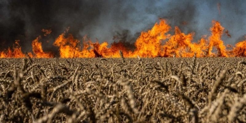 В результате российских обстрелов на полях Харьковщины произошло 18 пожаров - ГСЧС