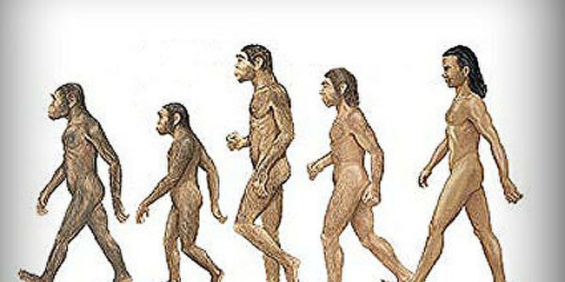 Они были не такие, как мы представляли: ученые воссоздали предка человека