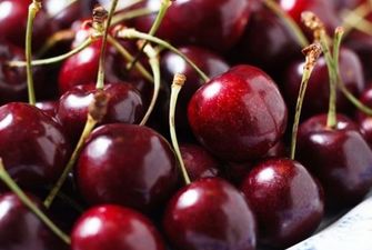 Медики назвали лучшую ягоду для очищения почек и печени