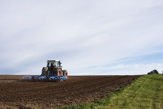 Під урожай-2021 на Тернопільщині посіють понад 800 тис. га