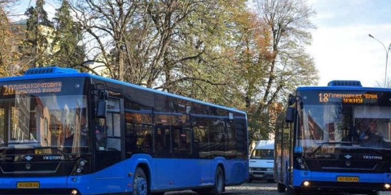 Рынок автобусов в Украине увеличился на четверть: какие марки в лидерах