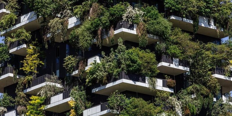 Защитят от смерти от жары: ученые посчитали, сколько деревьев потребуется высадить в городах