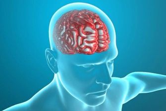 За всі емоції людини відповідає зона мозку розміром у 3 см - дослідження