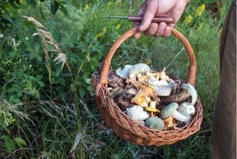 В Харьковской области четверо детей попали в больницу - бабушка накормила их грибами