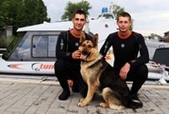 В ГСЧС появилась спасательная собака-водолаз Найда