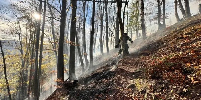 Около 50 спасателей тушат пожар на территории национального парка на Буковине