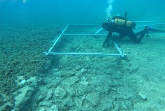 У побережья Хорватии нашли затопленную дорогу, которой 7000 лет