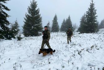 Уклонистов призвали не "бежать" в Европу через Карпаты, потому что в горах выпало до 40 см снега