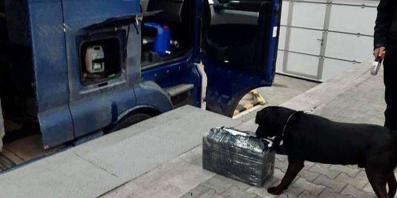 Службовий собака допоміг буковинським митникам виявити контрабандні цигарки