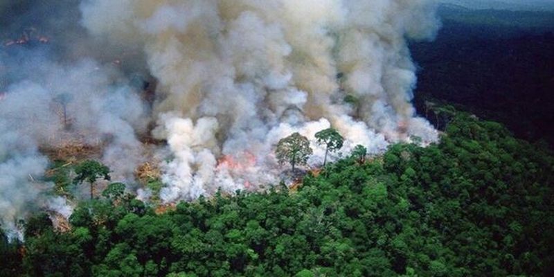 Дым достиг космоса: Бразилию накрыли рекордные пожары. Фото и видео