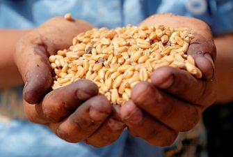 Українські аграрії намолотили понад 17 мільйонів тонн зернових