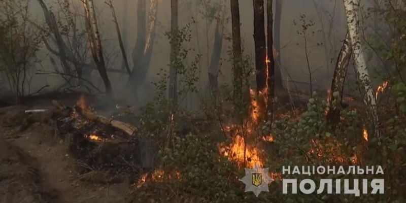 Жіноча помста: поліція назвала причину виникнення пожежі у Чорнобильській зоні