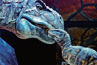 Совершите путешествие в мезозойскую эру с увлекательным тестом из 12 вопросов о динозаврах