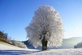 Укргидрометцентр прогнозирует "не суровую" зиму