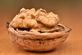 Експерти прогнозують рекордний обсяг експорту горіхів з України