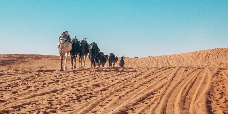 Сахара поступово мігрує до Європи: дедалі більше пилу з пустелі переносить вітер