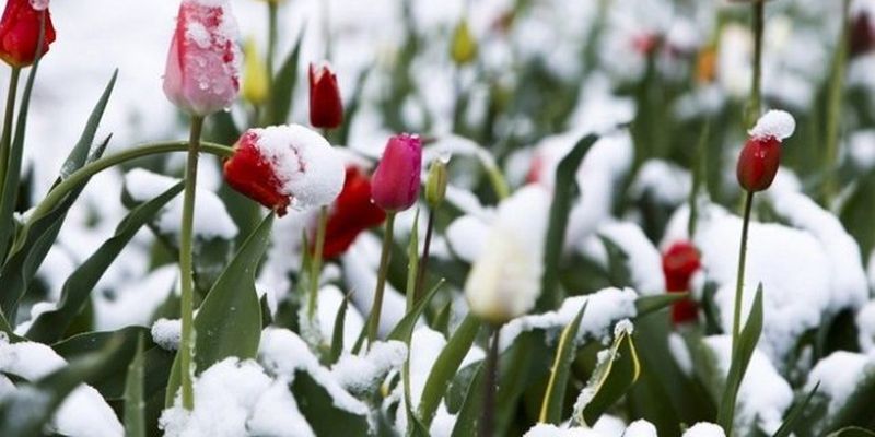 Украину еще может накрыть снег в апреле: названа дата