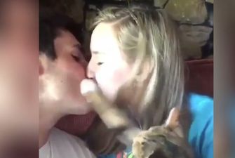 Кот не позволил парню поцеловать хозяйку