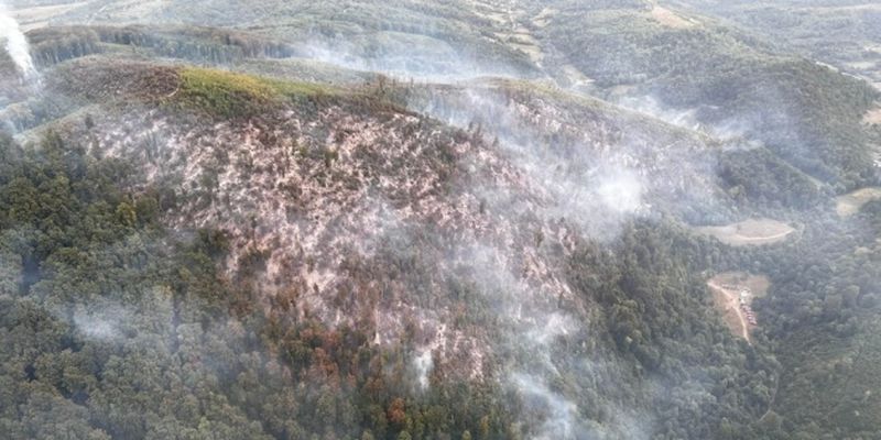На Закарпатье - масштабный лесной пожар, работают самолеты и вертолеты