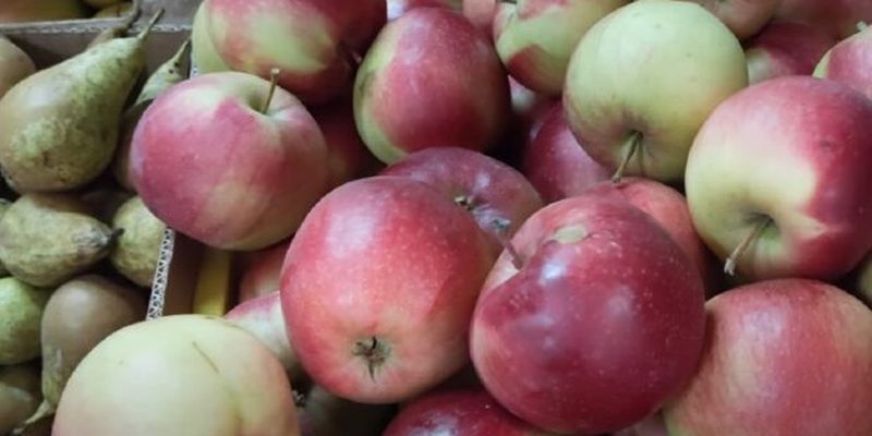 Ціна на яблука в Україні зростає: чи варто очікувати низьких цінників цієї осені