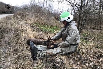 На Киевщине спасли из озера раненого олененка