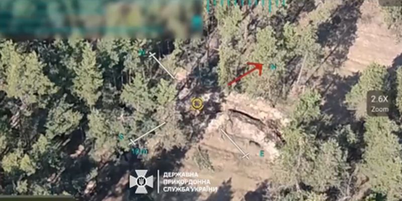 Укрытие в лесу не спасло: на Харьковщине уничтожили позиции оккупантов — видео