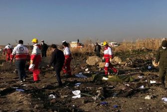 Жертва авиакатастрофы МАУ могла поставлять оружие в Ливию — CNN