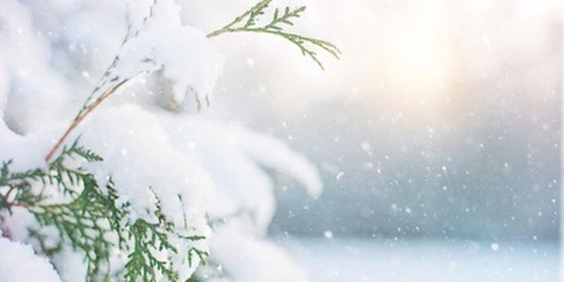 Снег и морозы с оттепелью: прогноз народного синоптика на следующий зимний сезон