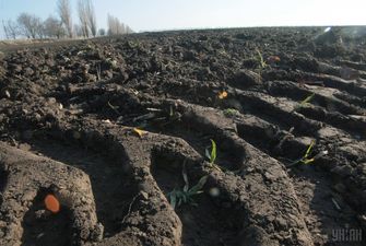 Разумков допустив запровадження ринку землі в Україні протягом року