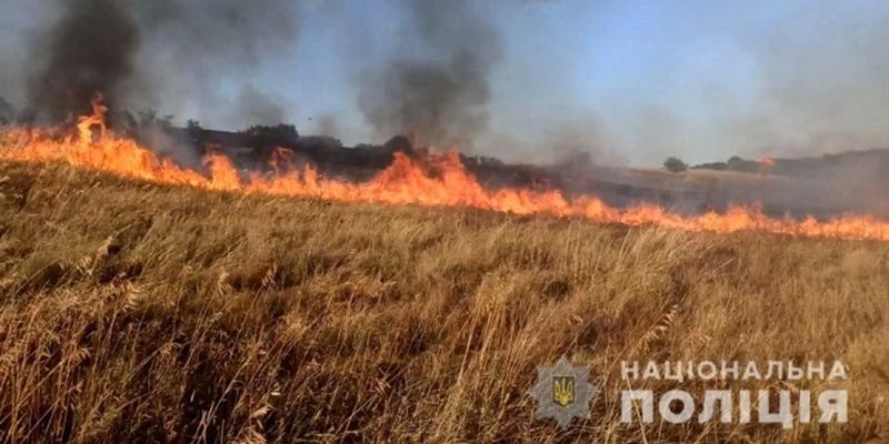 В результате вражеских обстрелов в Запорожье выгорели 70 гектаров пшеницы