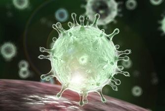 Ученые определили возможный пик коронавируса