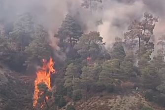 Пожарные и авиация не могут сдержать лесной пожар на Кипре: государство просит помощи