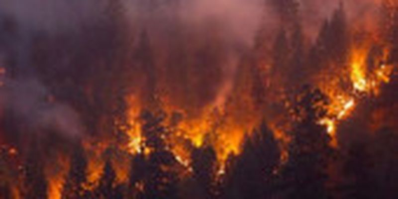 Вчені: ризики виникнення лісових пожеж зростають в усьому світі