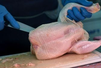 Как очистить курицу от антибиотиков: действенные методы и советы